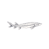 Seafood Lover Gift