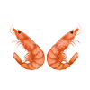 Seafood Lover Gift
