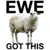 Ewe Got This