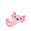 Axolotl