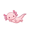 Axolotl