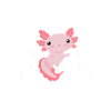 Axolotl