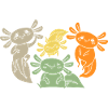 Axolotl