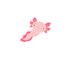 Axolotl