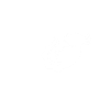 Axolotl
