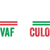 Italie Vaffanculo italien