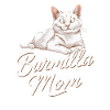 Katze Burmilla Geschenk