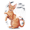 Katze Abessinier Geschenk