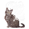 Katze Selkirk Rex Geschenk