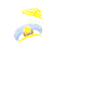 Cruise