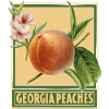 Georgia Peaches / Design d’été