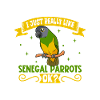I love my Senegal parrot
