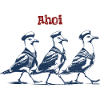 Ahoi Möwen