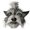 Felix