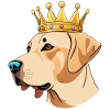 "Crowned Heads" - Labrador