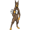 Bodybuilding Doberman avec haltères