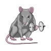 Rat Bodybuilding Dumbbell