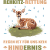 Fawn rescue
