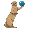 Otter Bowling Bowling Ball