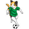 Cat Soccer Player Soccer