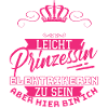 Princess & Electrician - Funny Electro