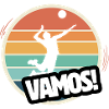 Vamos Retro Volleyball
