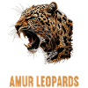 Amur Leopard Amurleoparden Amurleopard