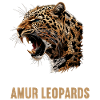 Amur Leopard Amurleoparden Amurleopard