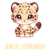 Amur Leopard Amurleoparden Amurleopard
