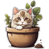 Cute Cat Flower