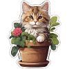Cute Cat Flower