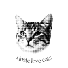 Design super cadeau miaou