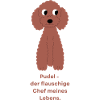 Flauschiger Pudel-Chef - Lustiges Design