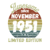 Awesome since November 1951 - Birthday