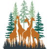 Giraffes Among Trees