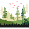 Forest Serenity Escape