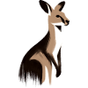 kangaroo