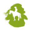 Cowboy Rider