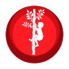 Accrobranche Ascension Singe grimpant