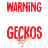 Leopardgecko Reptil Haustier Gecko