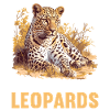 Léopard léopard