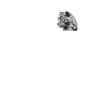 Leoparden Leopard