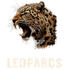 Leoparden Leopard
