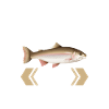 Seafood Lover Gift