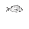 Seafood Lover Gift