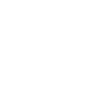 Birth Year Legend Since 1981