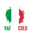 Italie Vaffanculo italien