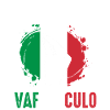 Italie Vaffanculo italien