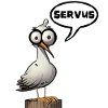 servus Servus Goéland Mouette