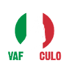 Italie Vaffanculo italien